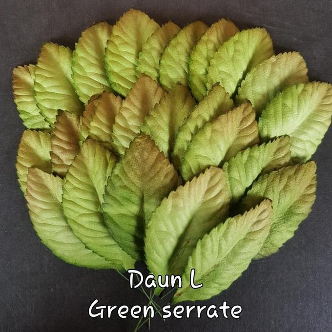 Open DS] Daun Large 25bh