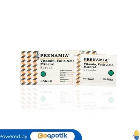 Prenamia Box Isi 100 Kapsul Original