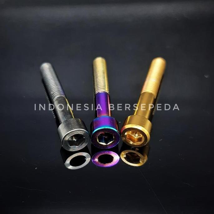 Ready Titanium Bolt M6x40mm Stem Cap Saddle - Baut Titanium