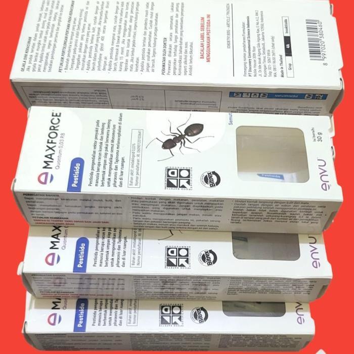 maxforce Quantum bayer-Racun pembasmi semut
