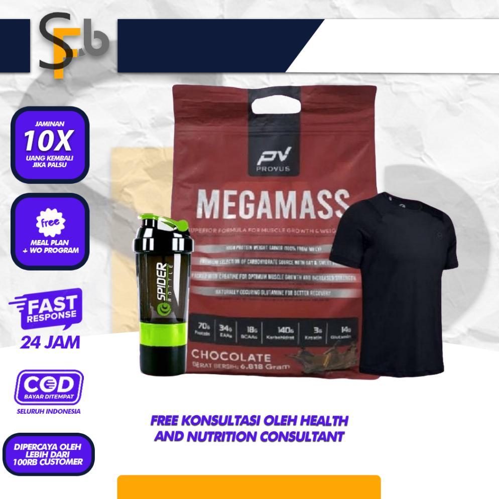 Provus Mega Mass 10 Lbs 20 Serving Weight Gainer