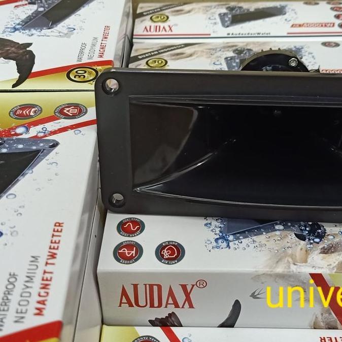 Tweeter Audax titanium AX 4000TW