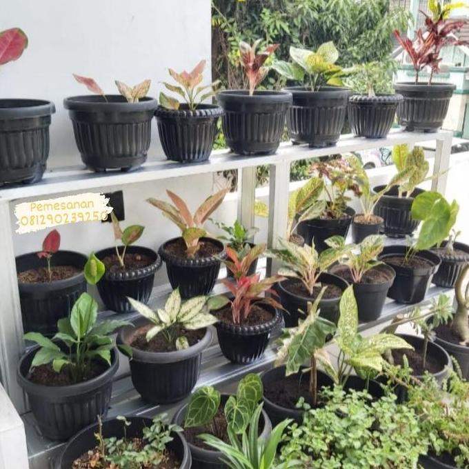 Rak pot bunga susun 3