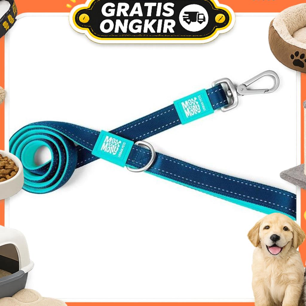 Max & Molly Leash Matrix Sky Blue