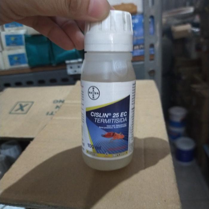 obat anti rayap