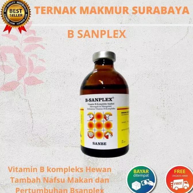 B SANPLEX 100ML