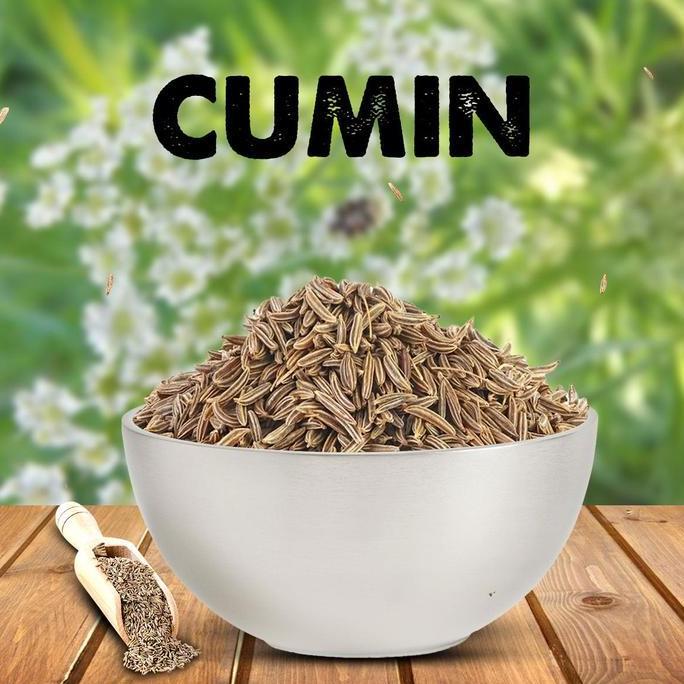 CUMIN SEED 100 GM