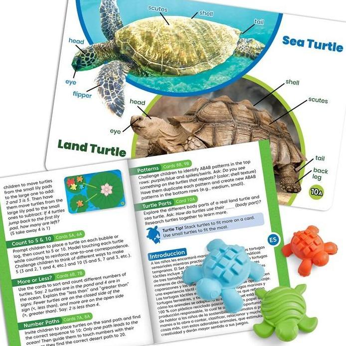 Hand2Mind Tactile Turtles Math Activity Set