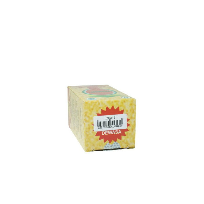 VERMINT 1 BOTOL 30 CAPSUL