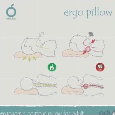 Promo Dooglee Ergo Pillow Bantal Bayi Cod