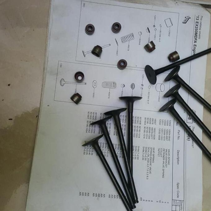 klep ninja 250 set