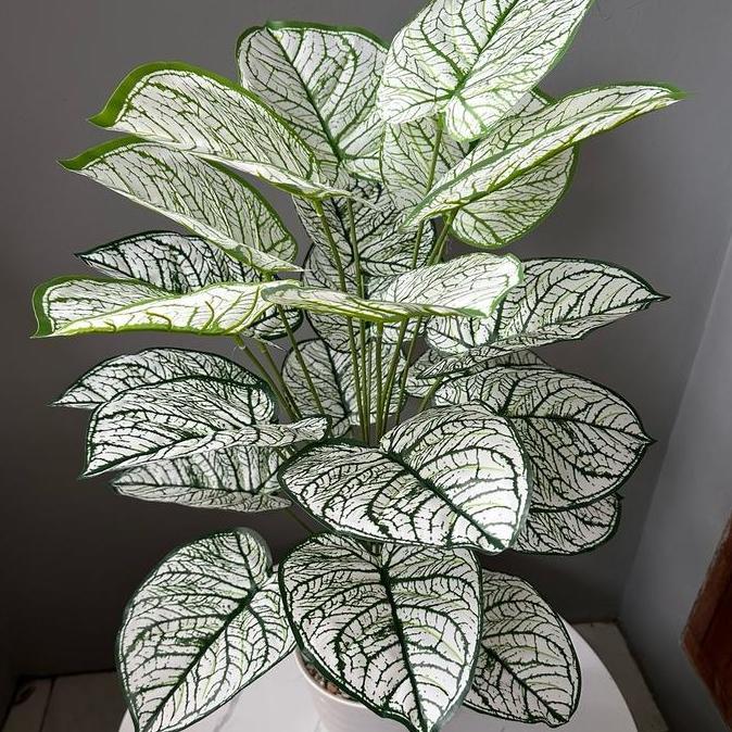 TANAMAN ARTIFICIAL KELADI KODE A24(sudah+pot)