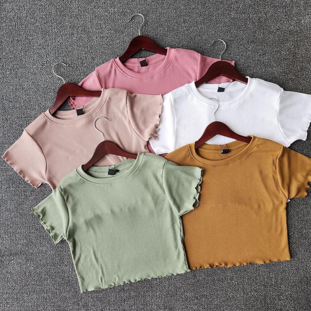 Exclusive Basic Crop Top Bahan Rib Premium Knit Tebal