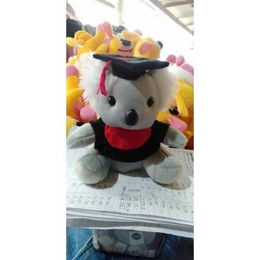 boneka Kuala wisuda 20 cm