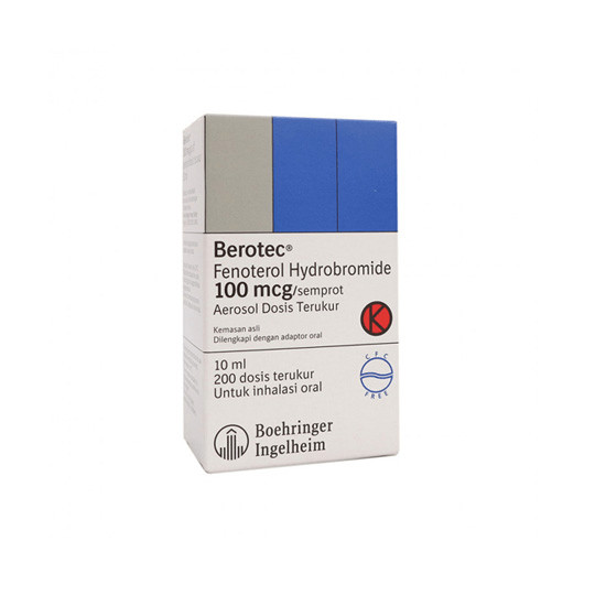BEROTEC INHALER 1 BOTOL @ 200 DOSIS
