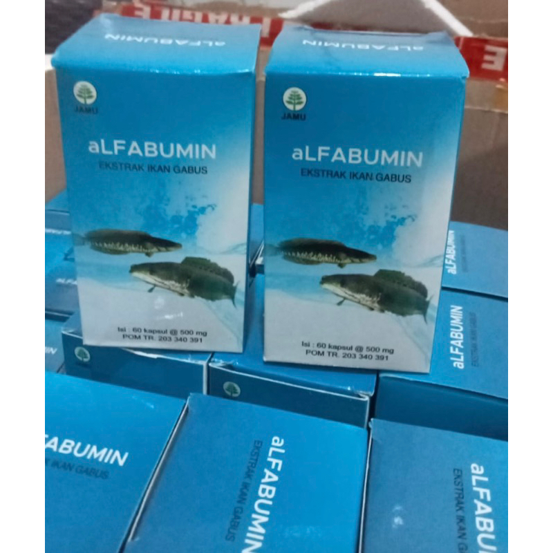 kapsul alfabumin ekstrak ikan gabus