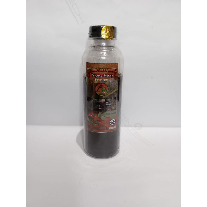 madu trigona/klanceng/kelulut