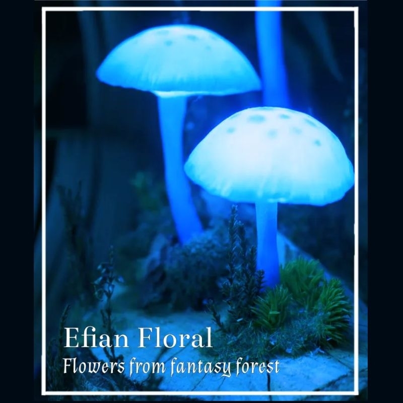 [ Aetate ] Efian Floral Perfume