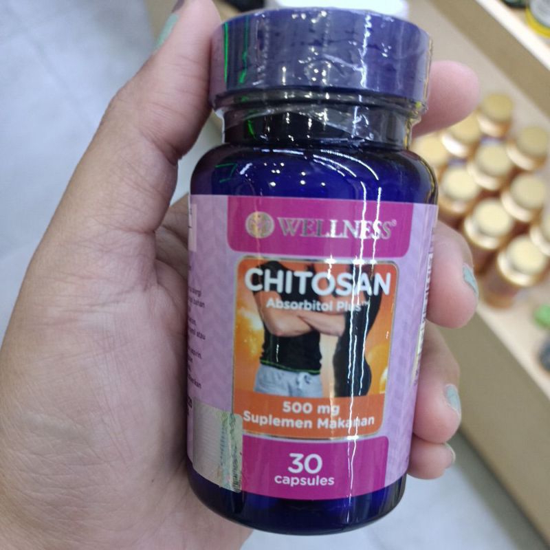 wellness chitosan 500mg 30caps