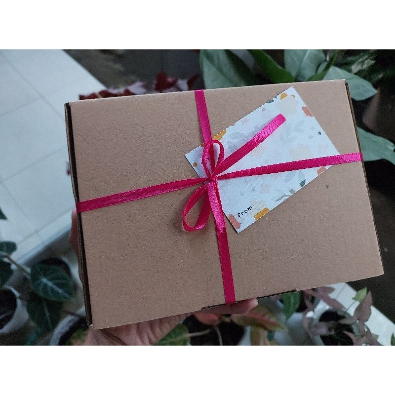 LINK 5 (KHUSUS PAKETAN)