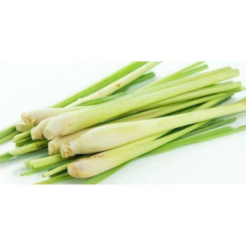 serai/serreh 1kg