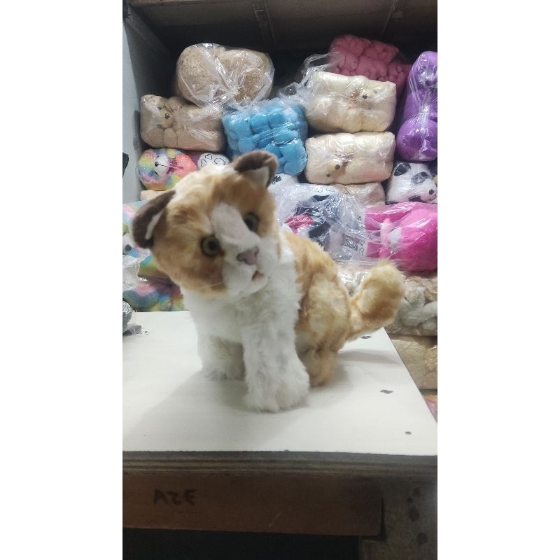 boneka kucing
