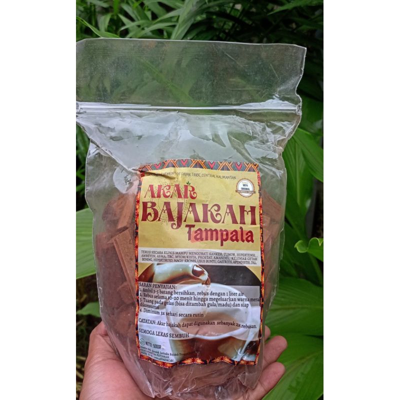 akar bajakah ori