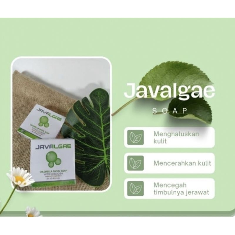javalgae nasa