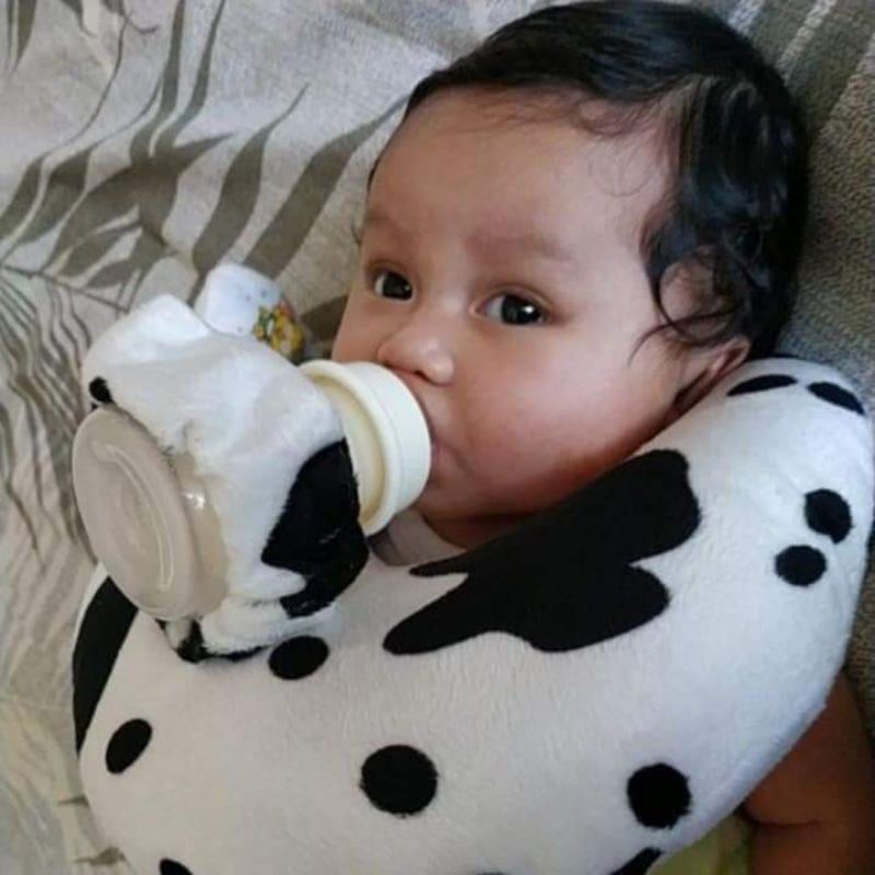 penyangga dot bayi