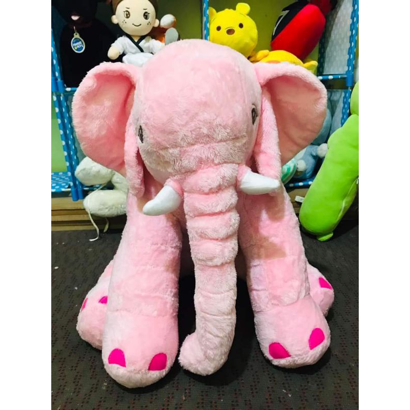 gajah jumbo Import