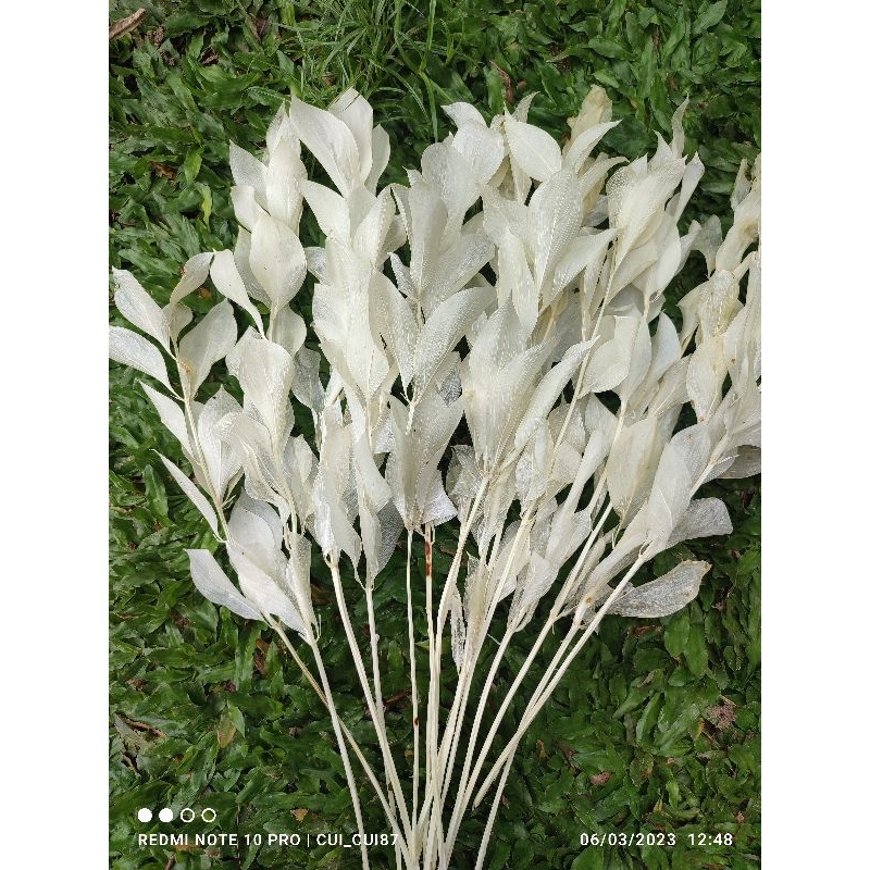 Bunga kering bahan buket/mahar