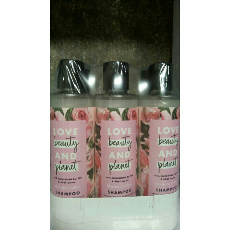 Shampoo