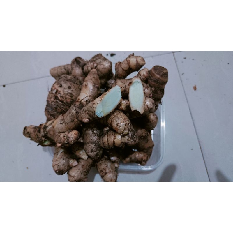 Temu Ireng 500gr
