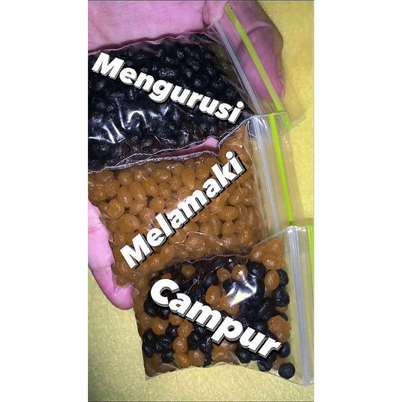 JAMU NINI bonus kurus&bonus lamak