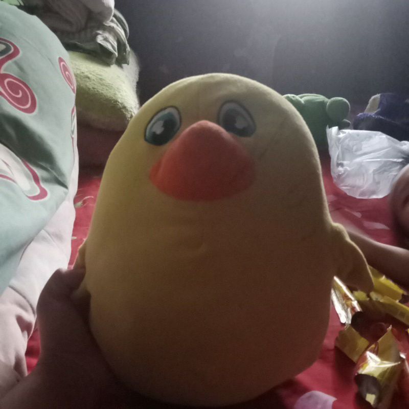 boneka tuta