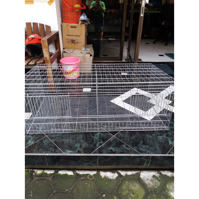 kandang DOC