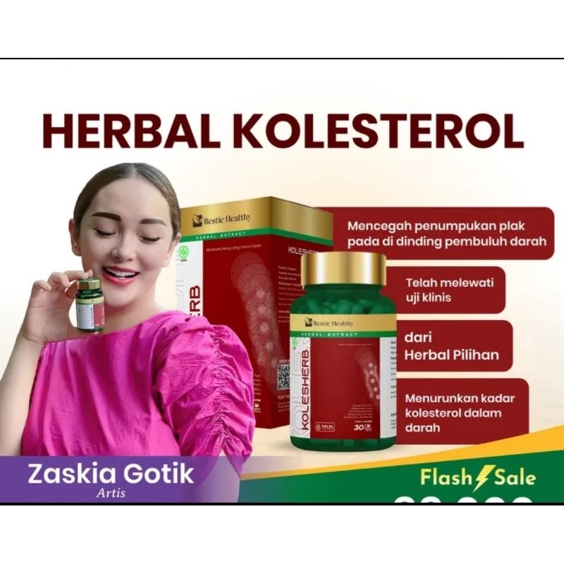 OBAT HERBAL KOLESTEROL