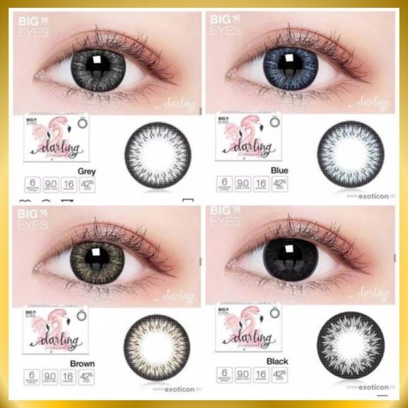 SOFTLENSE X2 DARLING FREE LENS CASE