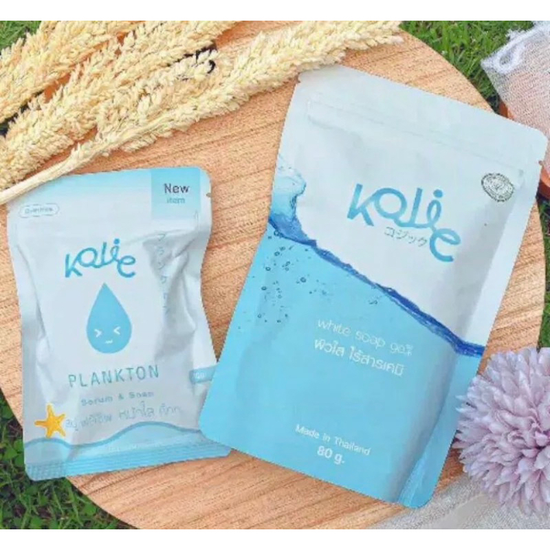 paket usaha
