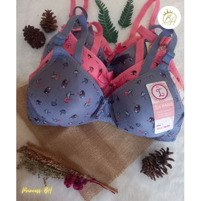 BH LAPARIS Art 1233