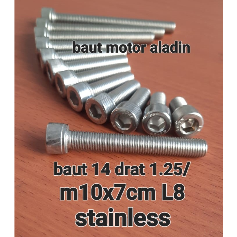 Baut L8/M10x7cm stainless