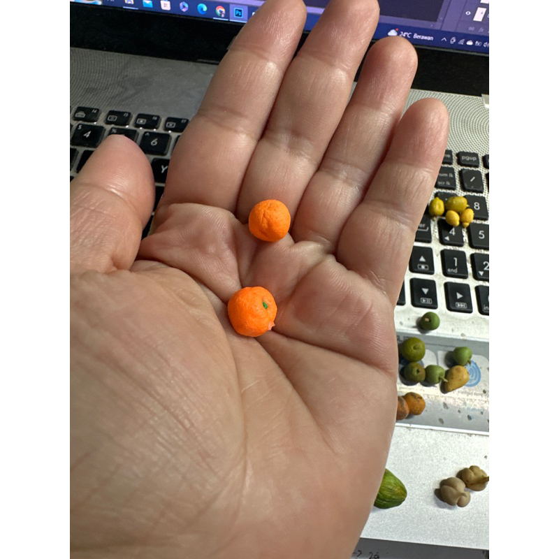 miniatur jeruk mandarin