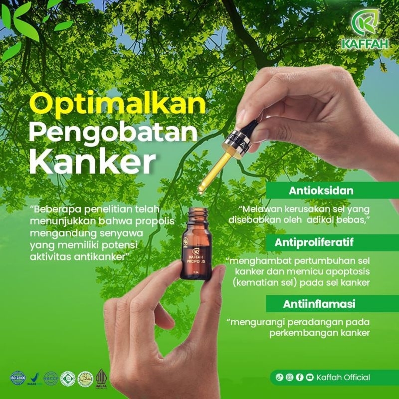 Kaffah Propolis