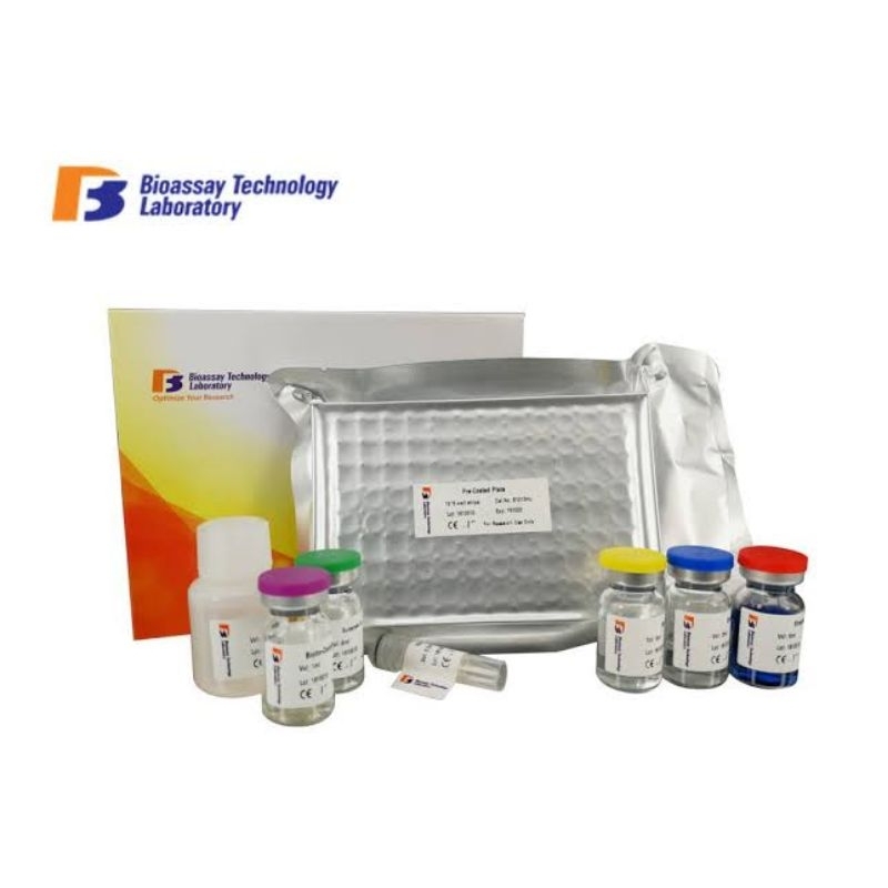 Rat Interleukin 4, IL-4 ELISA Kit