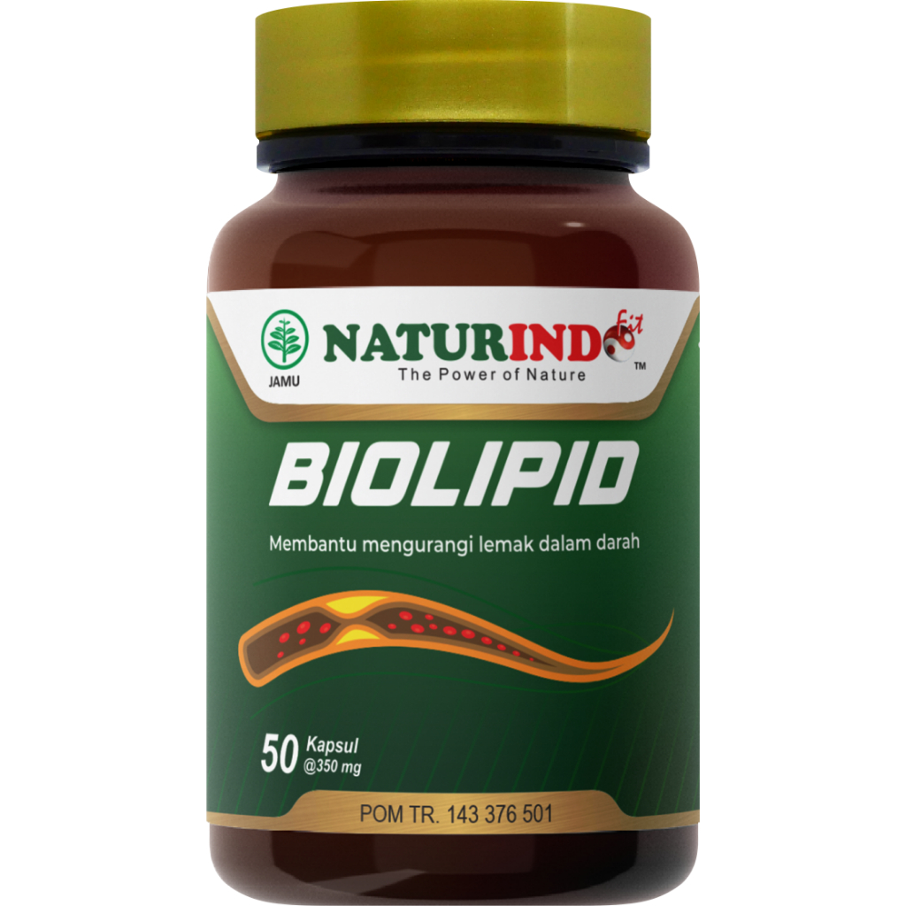 obat kolestrol