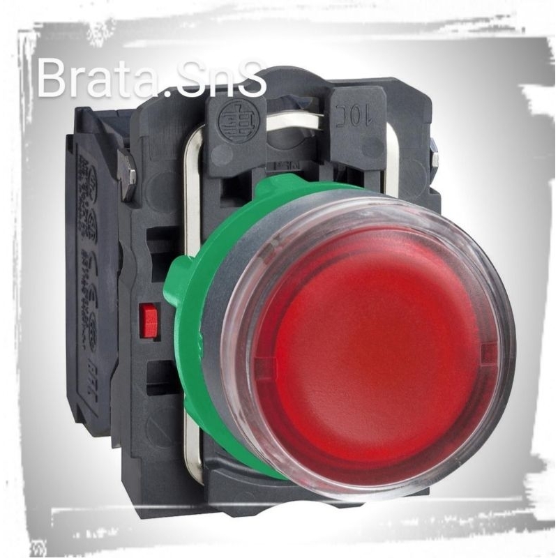 Schneider Push Button / Flush Complate Illum Push Button DIA22 Spring Return 1NO+1NC 220-240V (( Red ))