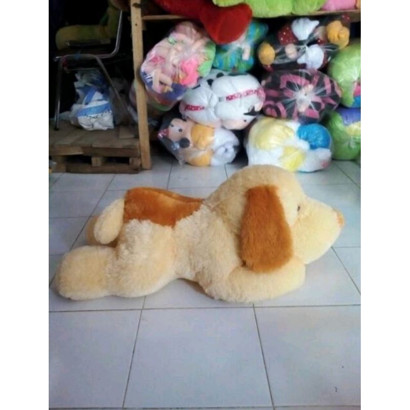 gufi jumbo