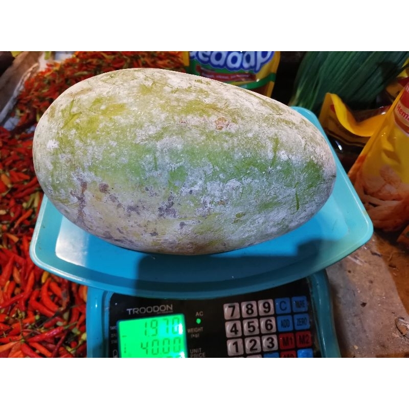 KUNDUR PER BUAH