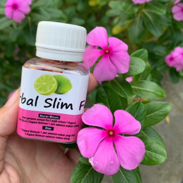HSF (Herbal slim fast)