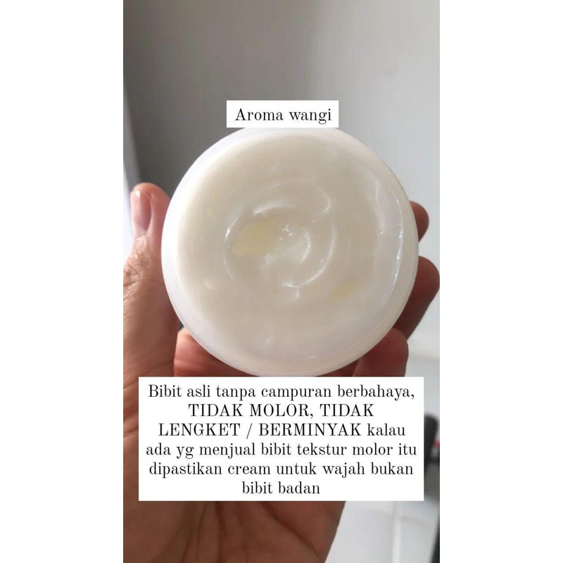 bibit pemutih magic